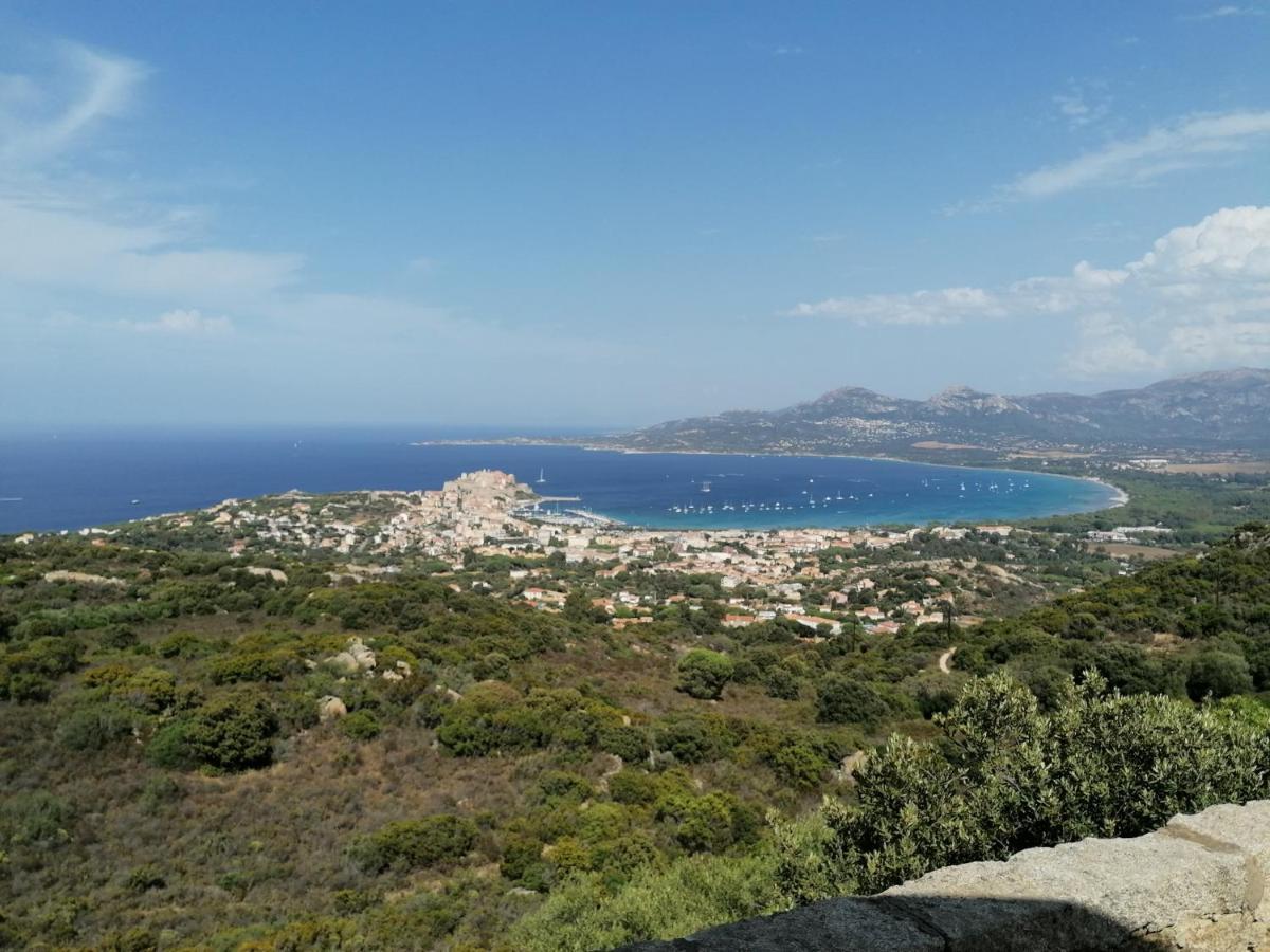 Appartement Résidence Les Eucalyptus LʼÎle-Rousse Esterno foto